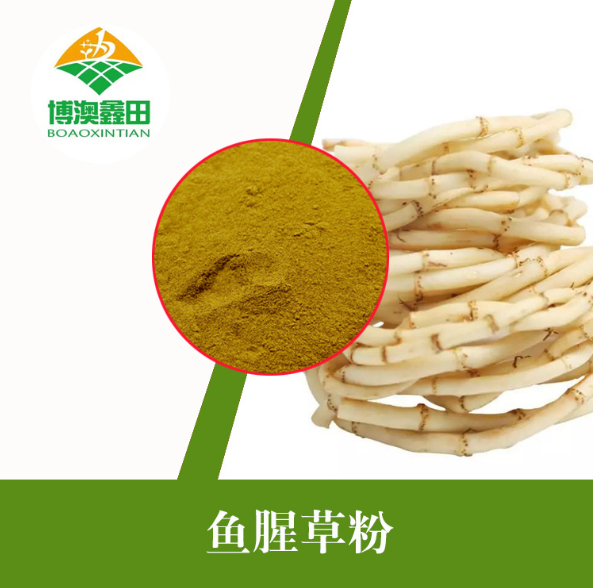 鱼腥草粉